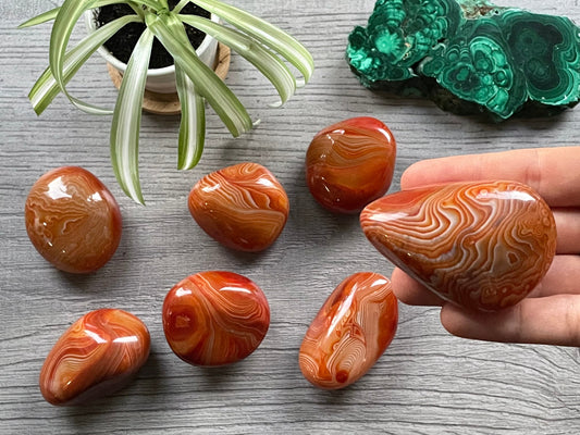 Sardonyx: Embracing the Harmonious Balance of Strength and Serenity