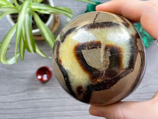 Unveiling the Mystique of Septarian: Nature's Ancient Secrets Revealed