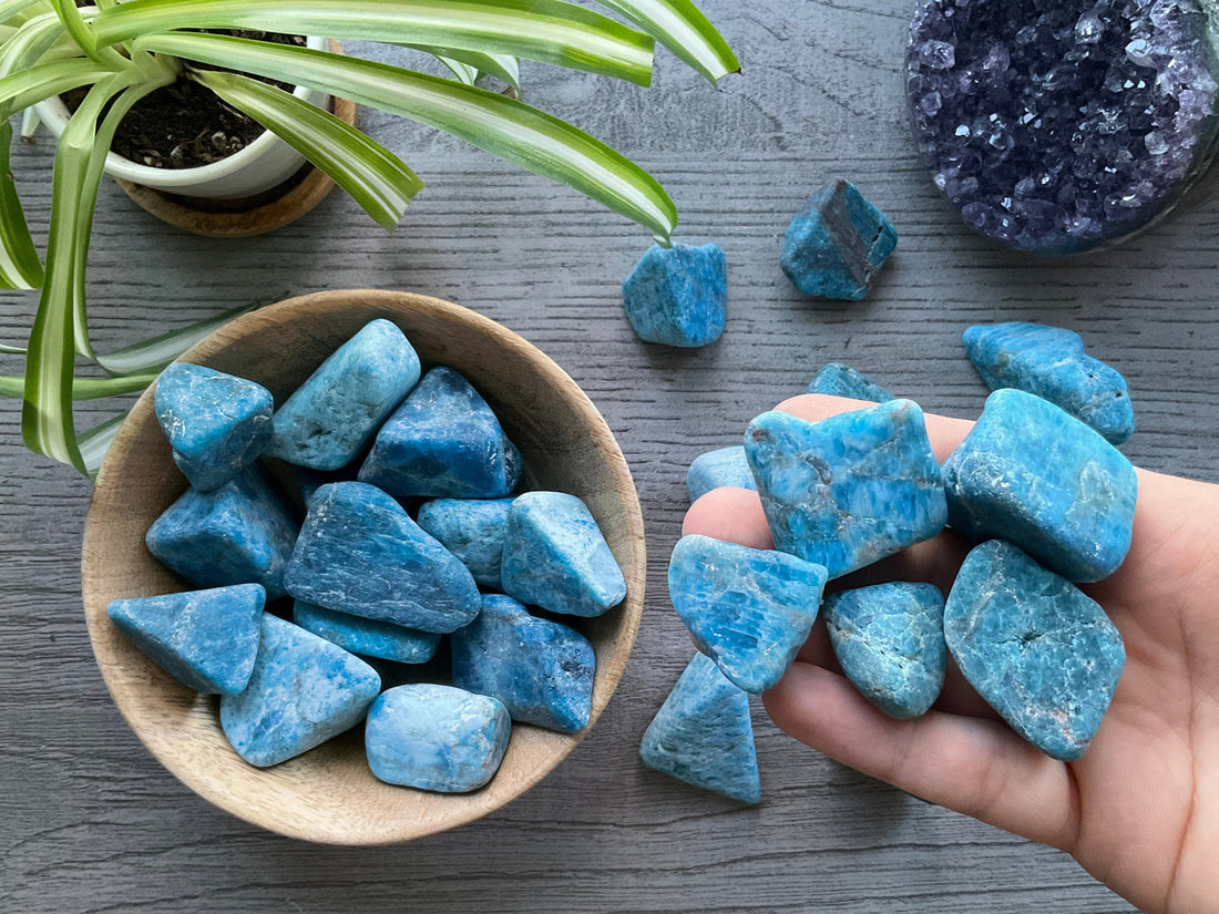 Pictured are various pieces of blue apatite