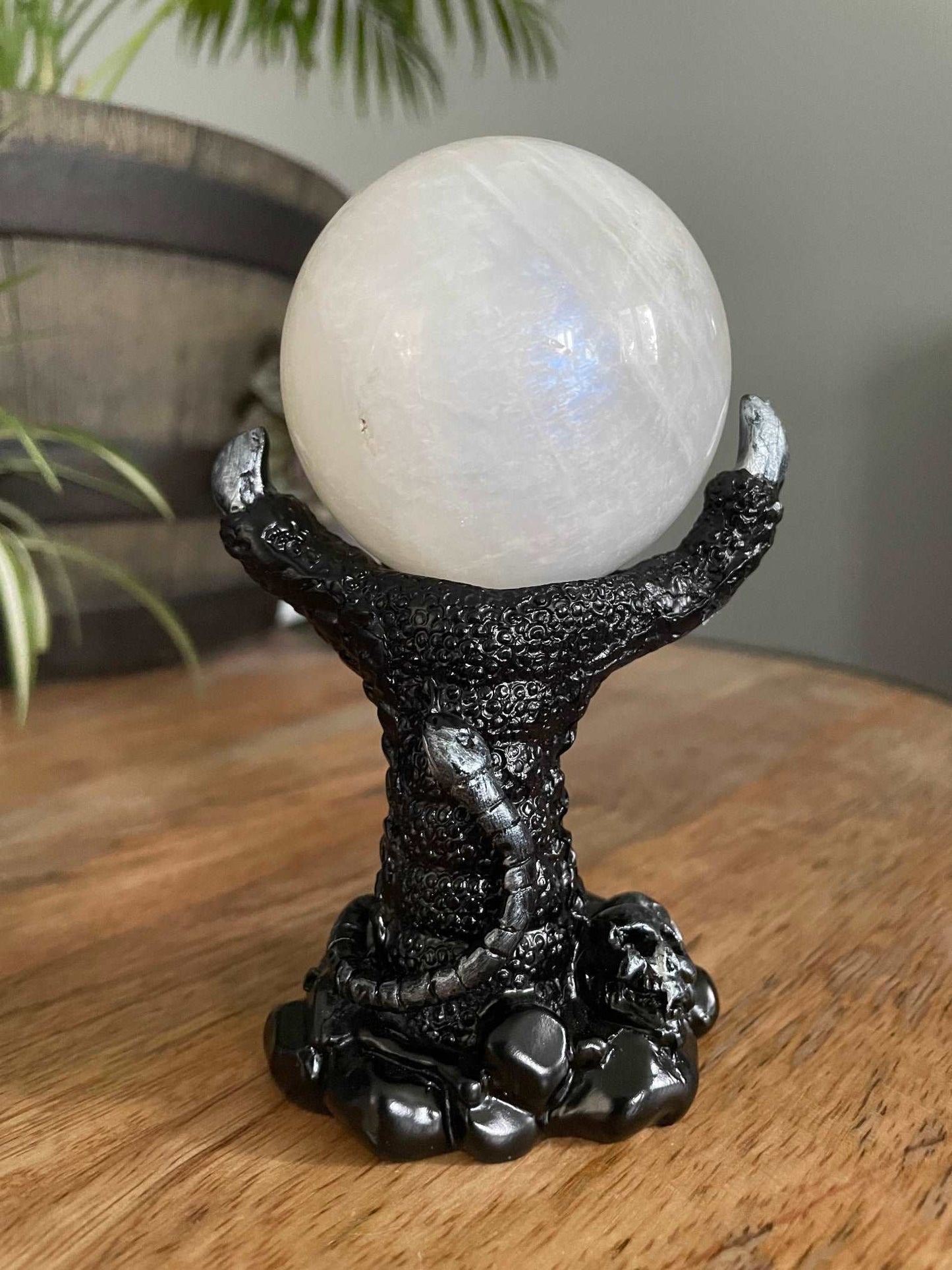 Pictured is a sphere stand in the shape of a black dragon's claw. Dragon Claw Crystal Sphere Stand - The Wandering Fox Emporium, Your Metaphysical Store front