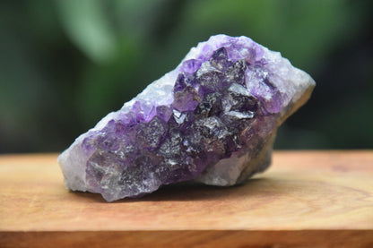 Thunder Bay Amethyst Crystal Cluster (G) - The Wandering Fox Emporium, Your Crystal Store