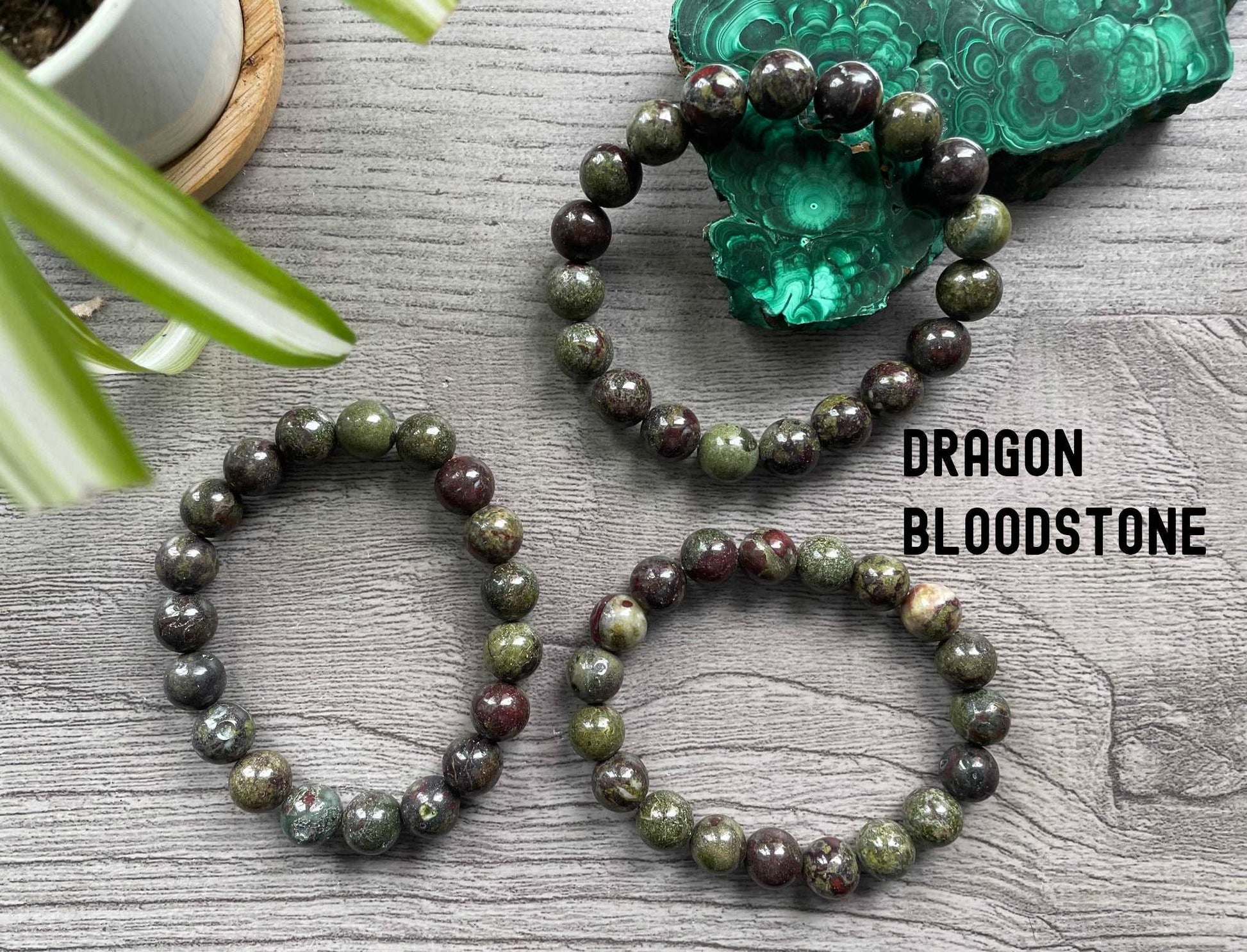 Dragon Bloodstone Bracelet 10.5mm - The Wandering Fox Emporium, Your Crystal Store