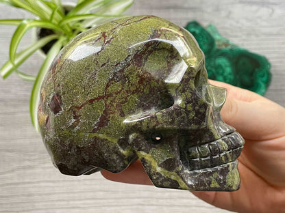 Dragon Bloodstone Crystal Skull .9kg - The Wandering Fox Emporium, Your Metaphysical Store