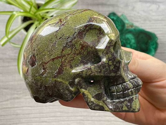 Dragon Bloodstone Crystal Skull .9kg - The Wandering Fox Emporium, Your Metaphysical Store