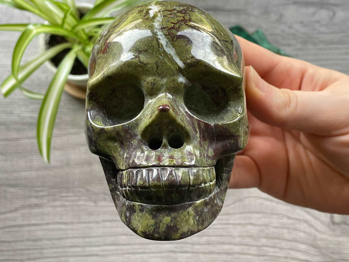 Dragon Bloodstone Crystal Skull .9kg - The Wandering Fox Emporium, Your Metaphysical Store front