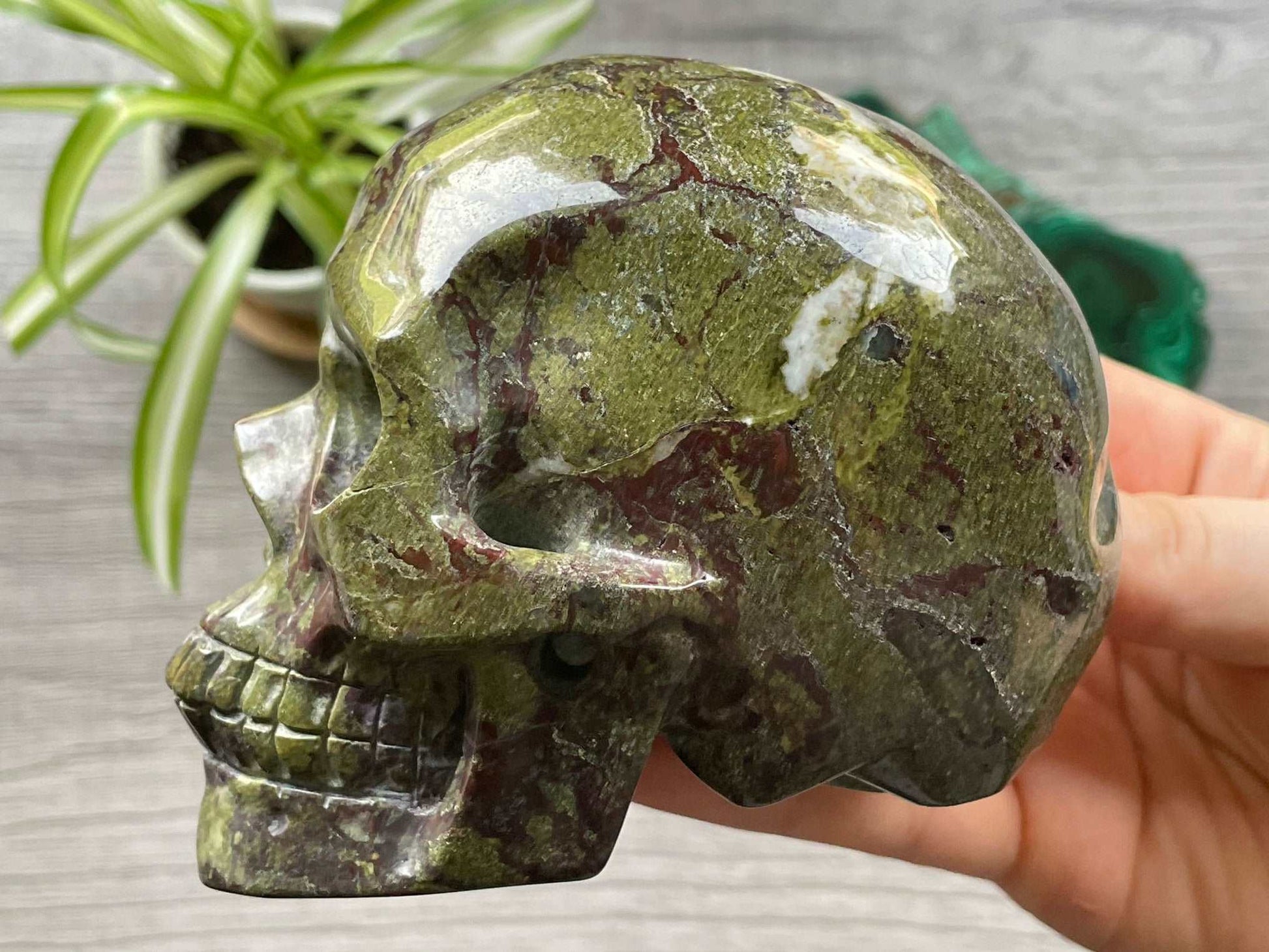 Dragon Bloodstone Crystal Skull .9kg - The Wandering Fox Emporium, Your Metaphysical Store side