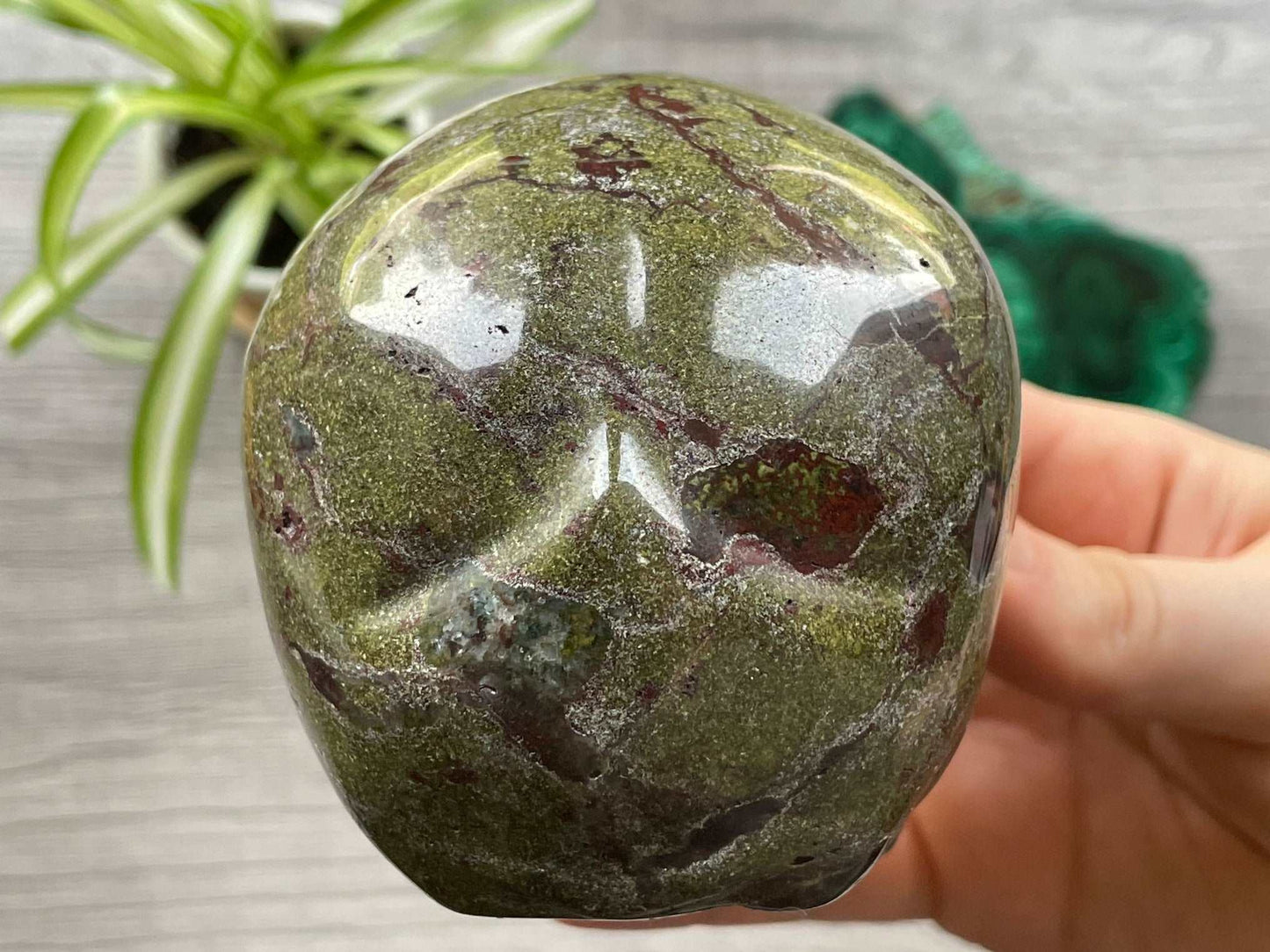 Dragon Bloodstone Crystal Skull .9kg - The Wandering Fox Emporium, Your Metaphysical Store back