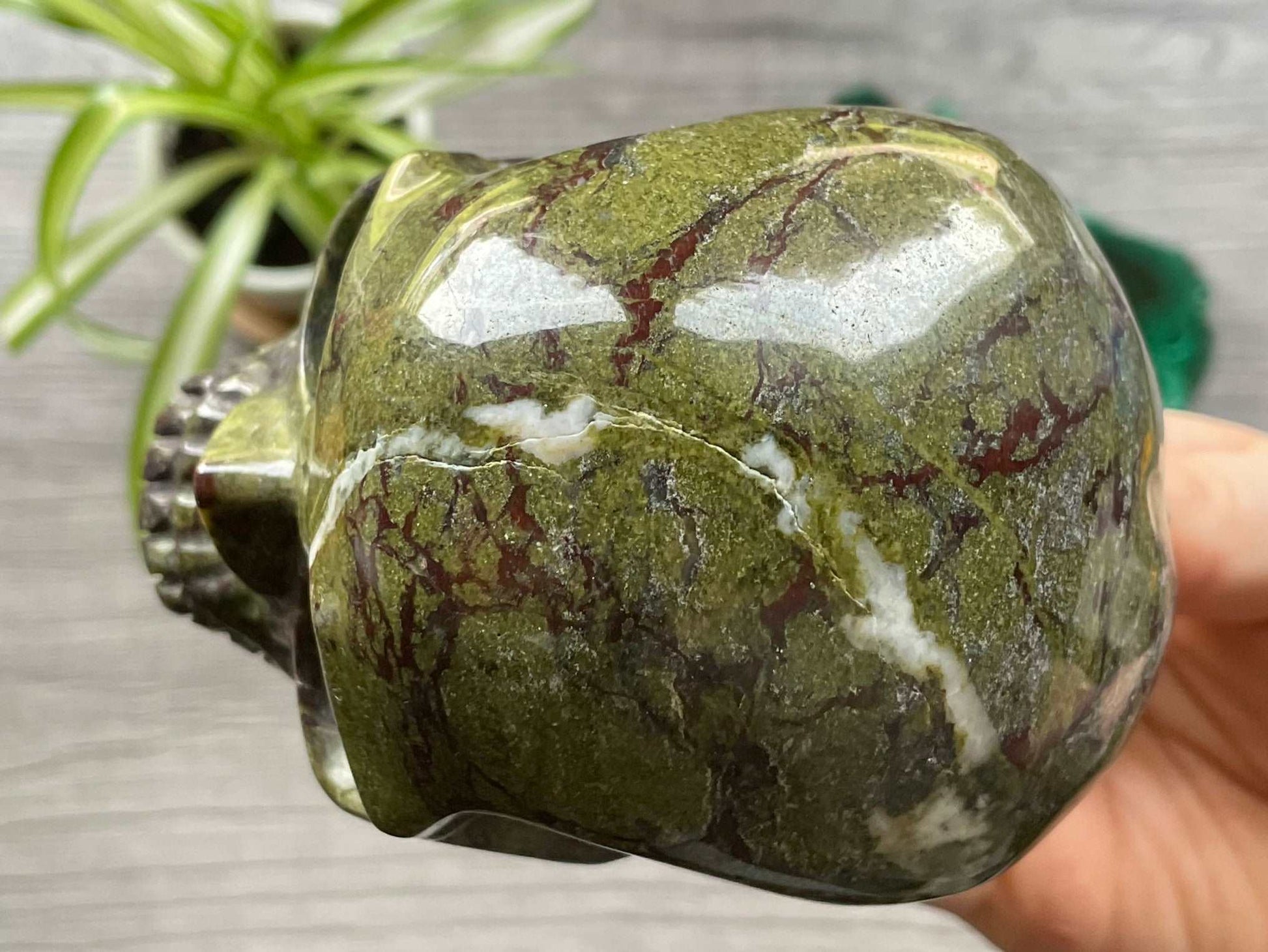 Dragon Bloodstone Crystal Skull .9kg - The Wandering Fox Emporium, Your Metaphysical Store top