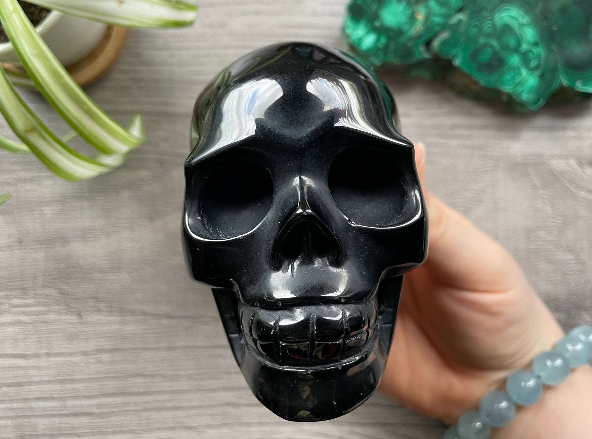 Black Obsidian Crystal Skull .5kg - The Wandering Fox Emporium, Your Metaphysical Store front