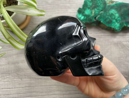 Black Obsidian Crystal Skull .5kg - The Wandering Fox Emporium, Your Metaphysical Store side