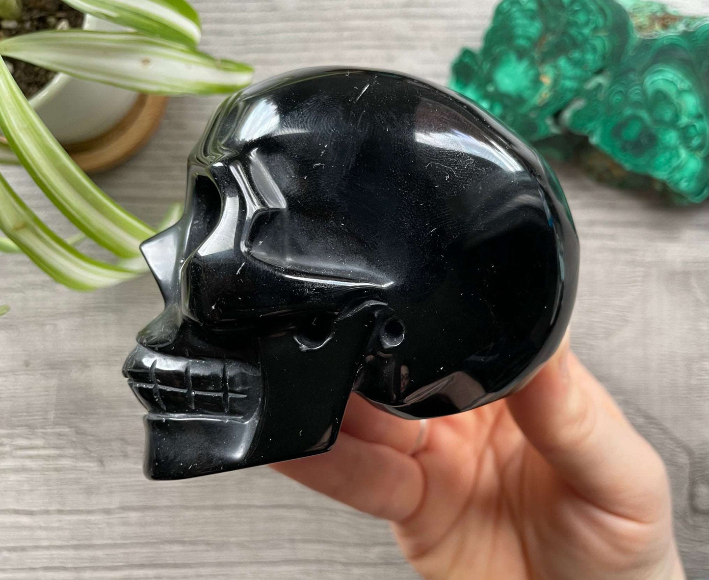 Black Obsidian Crystal Skull .5kg - The Wandering Fox Emporium, Your Metaphysical Store