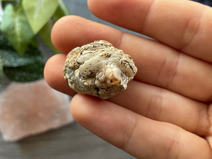 Natural Mini Oco Geode Crystal - Y bottom