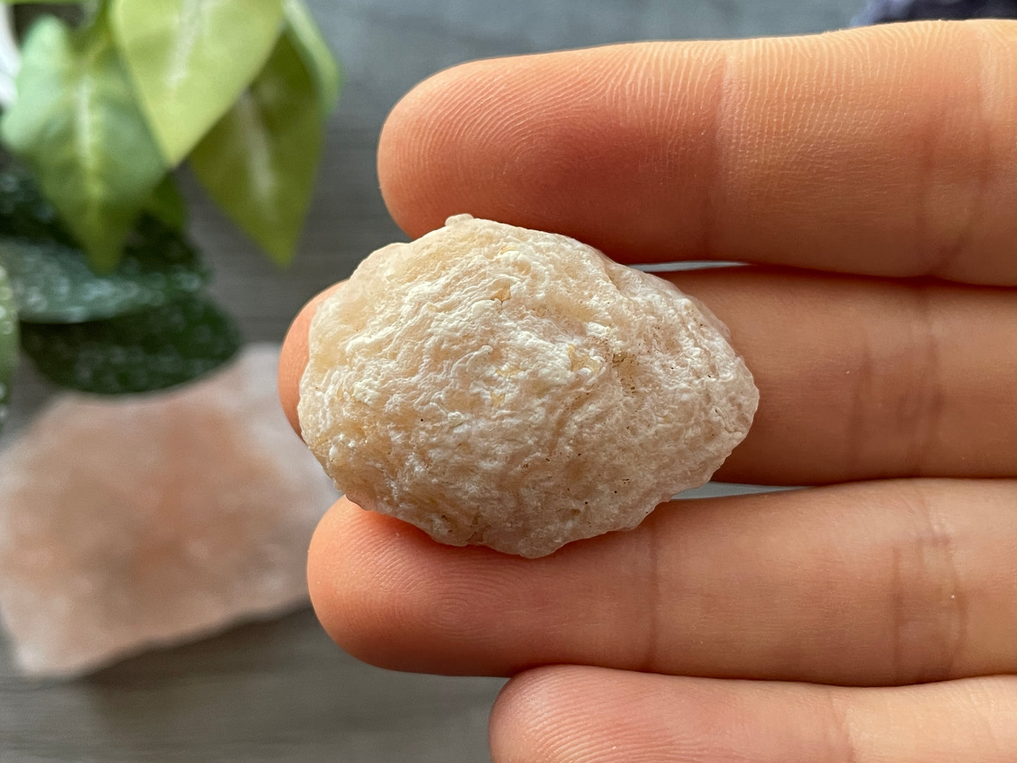 Natural Mini Oco Geode Crystal - W bottom