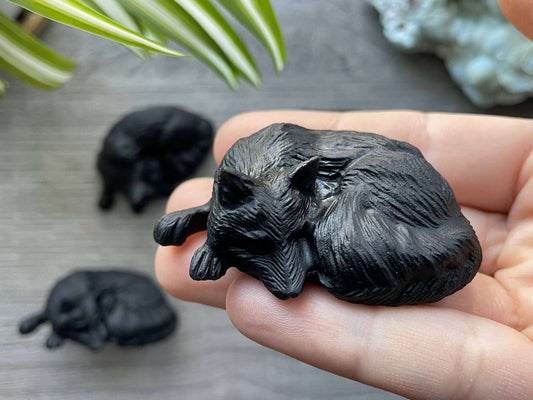 Black Obsidian Fox / Wolf Crystal Carving close up