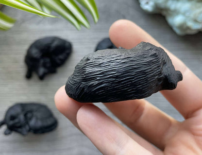 Black Obsidian Fox / Wolf Crystal Carving back