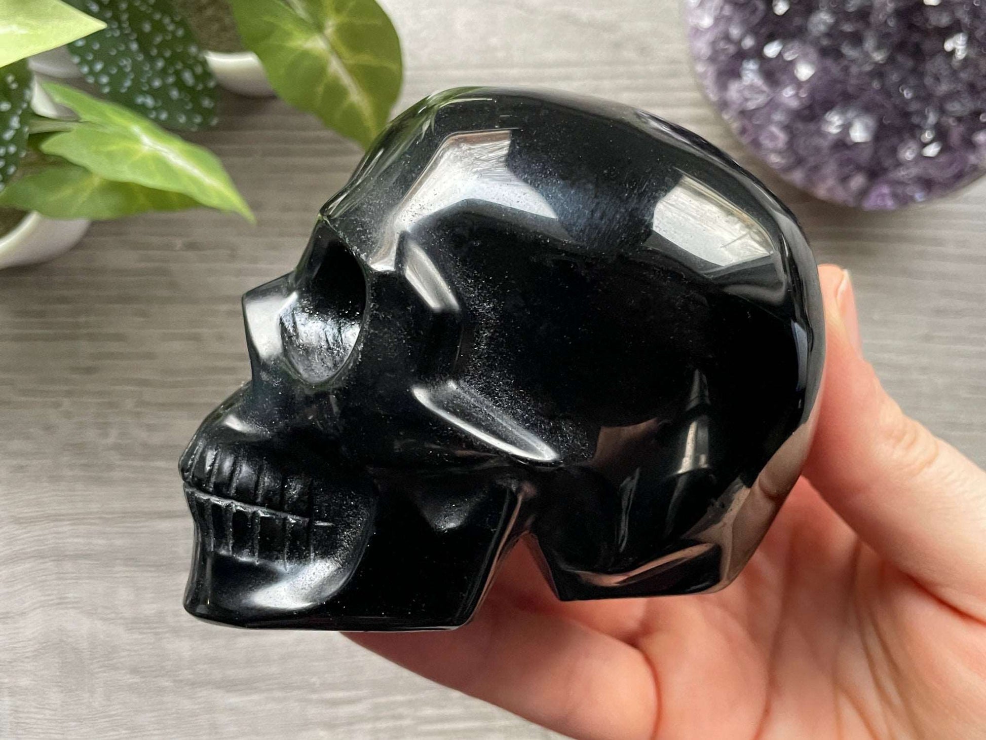 Black Obsidian Crystal Skull (F) - The Wandering Fox Emporium, Your Metaphysical Store