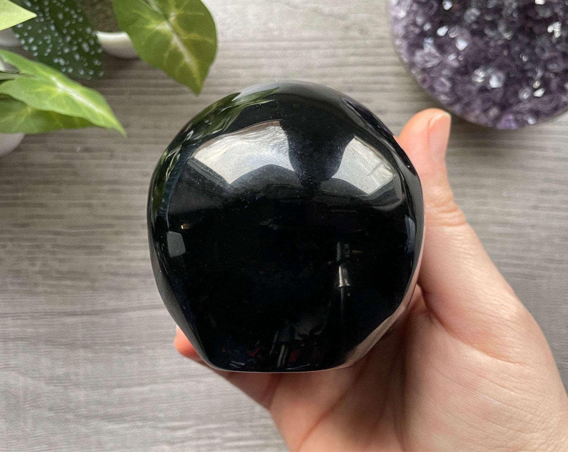 Black Obsidian Crystal Skull (F) - The Wandering Fox Emporium, Your Metaphysical Store back