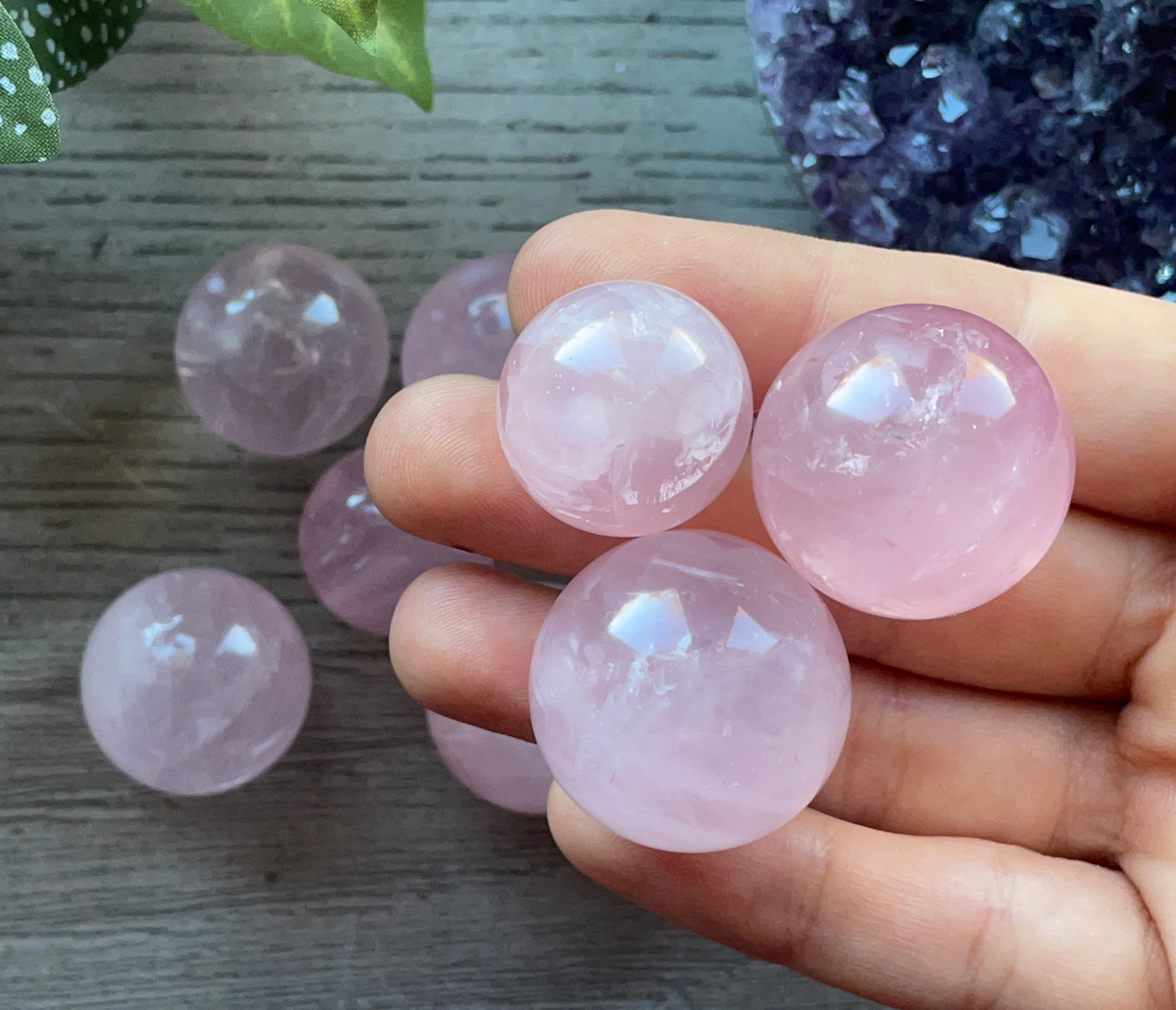 Star Rose Quartz Mini Sphere / Marble close up