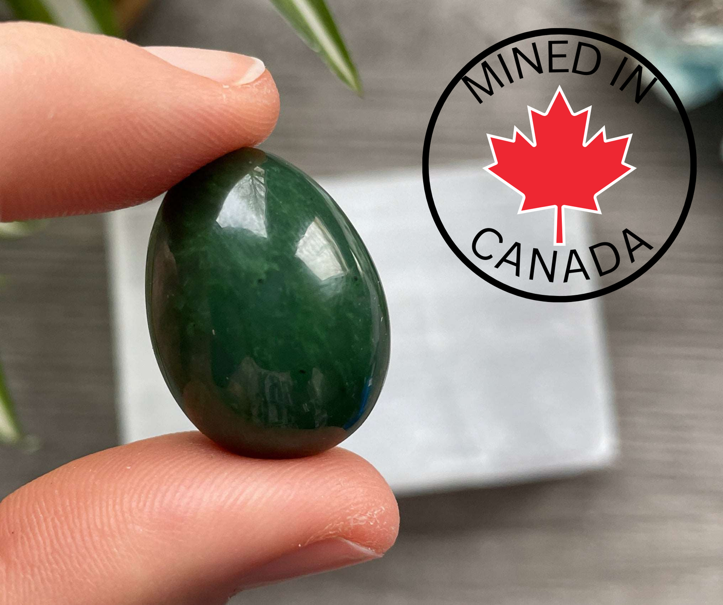 Genuine Canadian Jade Mini Egg (2.75cm) B - The Wandering Fox Emporium, Your Crystal Store