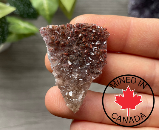 Thunder Bay Red Amethyst Crystal Cluster (U) - The Wandering Fox Emporium, Your Crystal Store