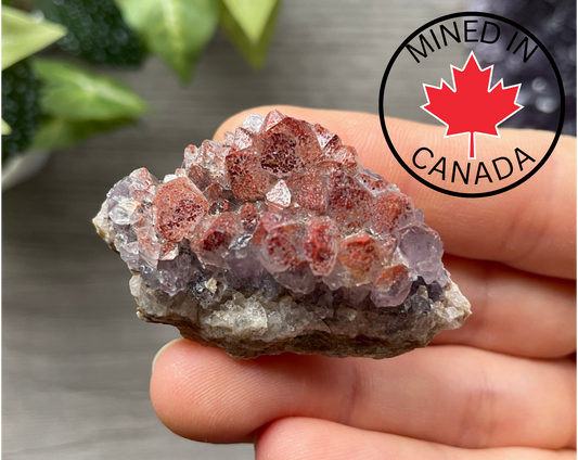 Thunder Bay Red Amethyst Crystal Cluster (T) - The Wandering Fox Emporium, Your Crystal Store