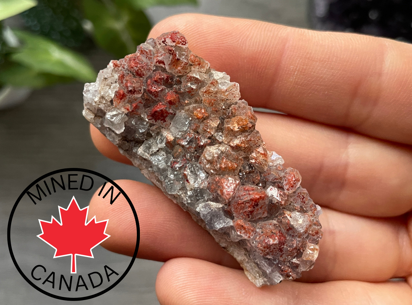 Thunder Bay Red Amethyst Crystal Cluster (S) - The Wandering Fox Emporium, Your Crystal Store