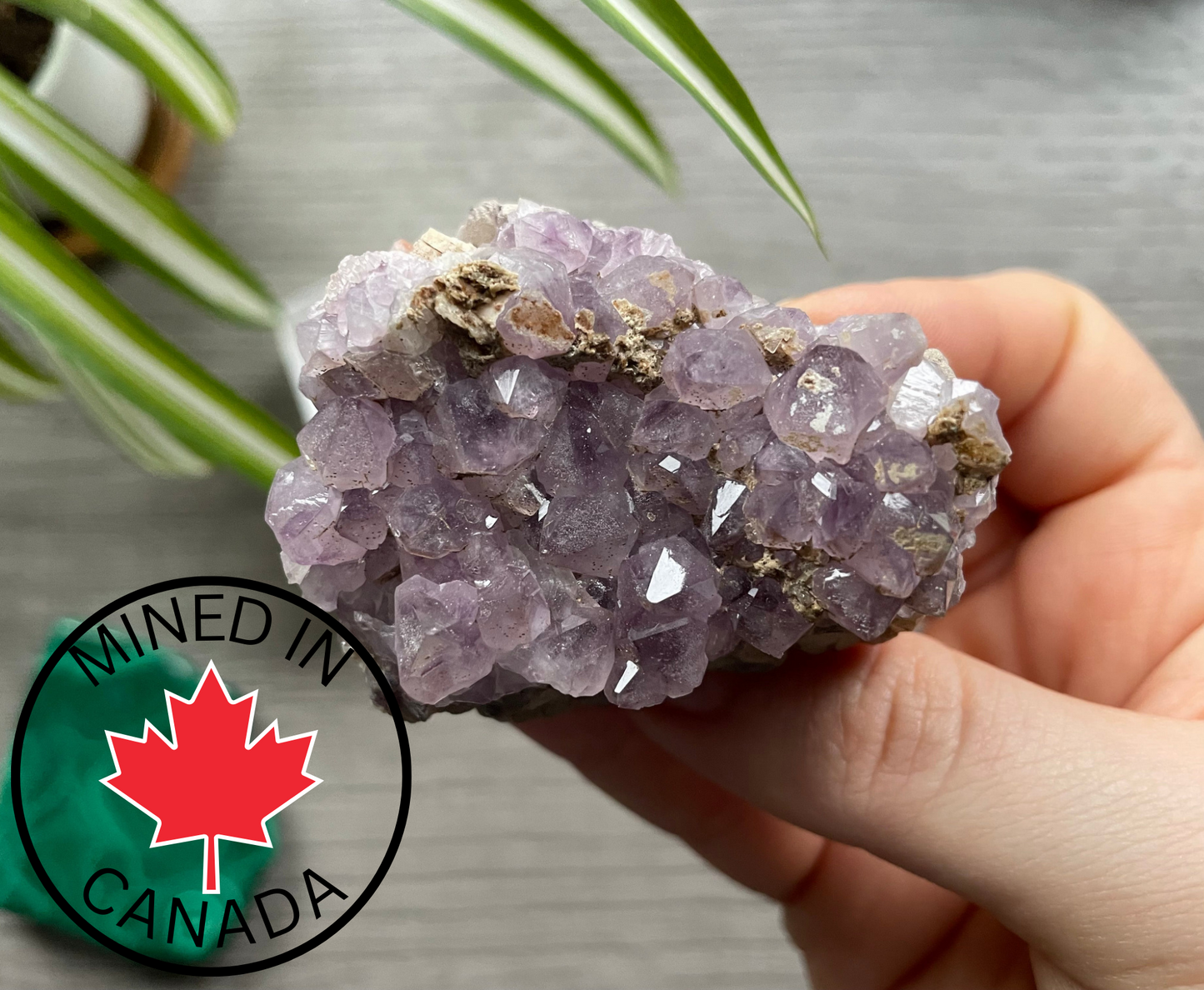 Thunder Bay Amethyst Crystal Cluster (C) - The Wandering Fox Emporium, Your Crystal Store