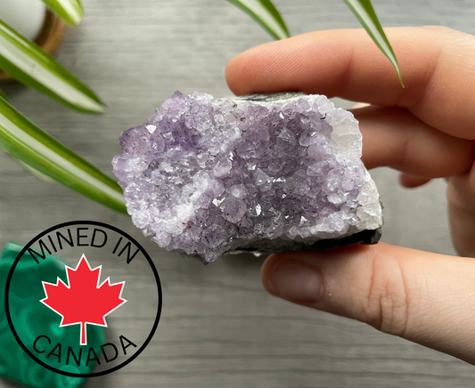 Thunder Bay Amethyst Crystal Cluster (B) - The Wandering Fox Emporium, Your Crystal Store