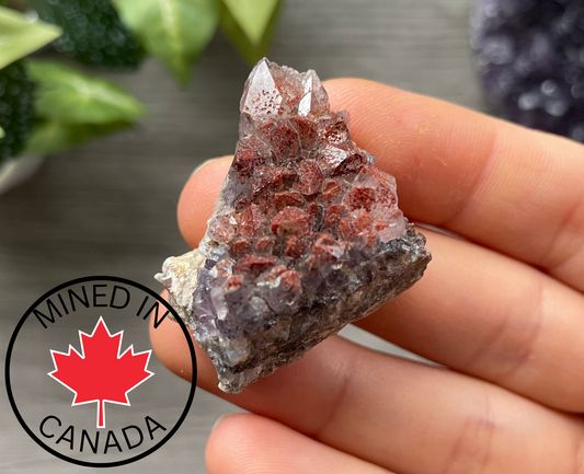 Thunder Bay Red Amethyst Crystal Cluster (V) - The Wandering Fox Emporium, Your Crystal Store