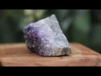 Thunder Bay Amethyst Crystal Cluster (G) - The Wandering Fox Emporium, Your Crystal Store