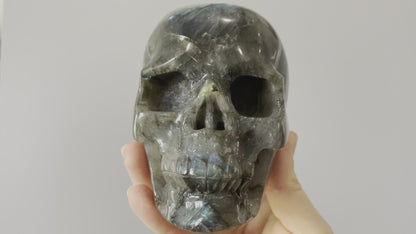 Labradorite Crystal Skull 1.1kg - The Wandering Fox Emporium, Your Metaphysical Store video