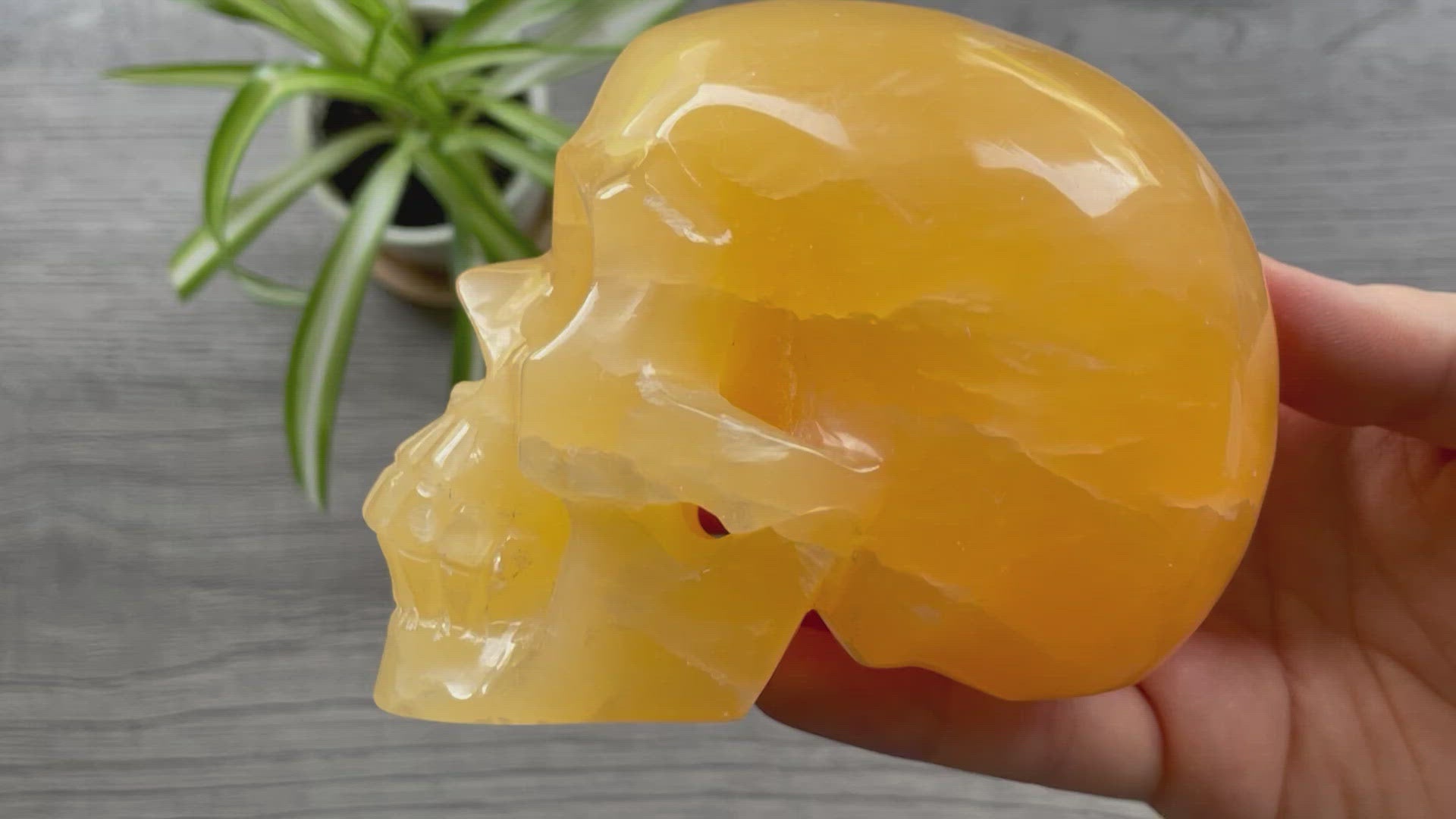 Orange Calcite Calcite Skull .85kg - The Wandering Fox Emporium, Your Metaphysical Store video