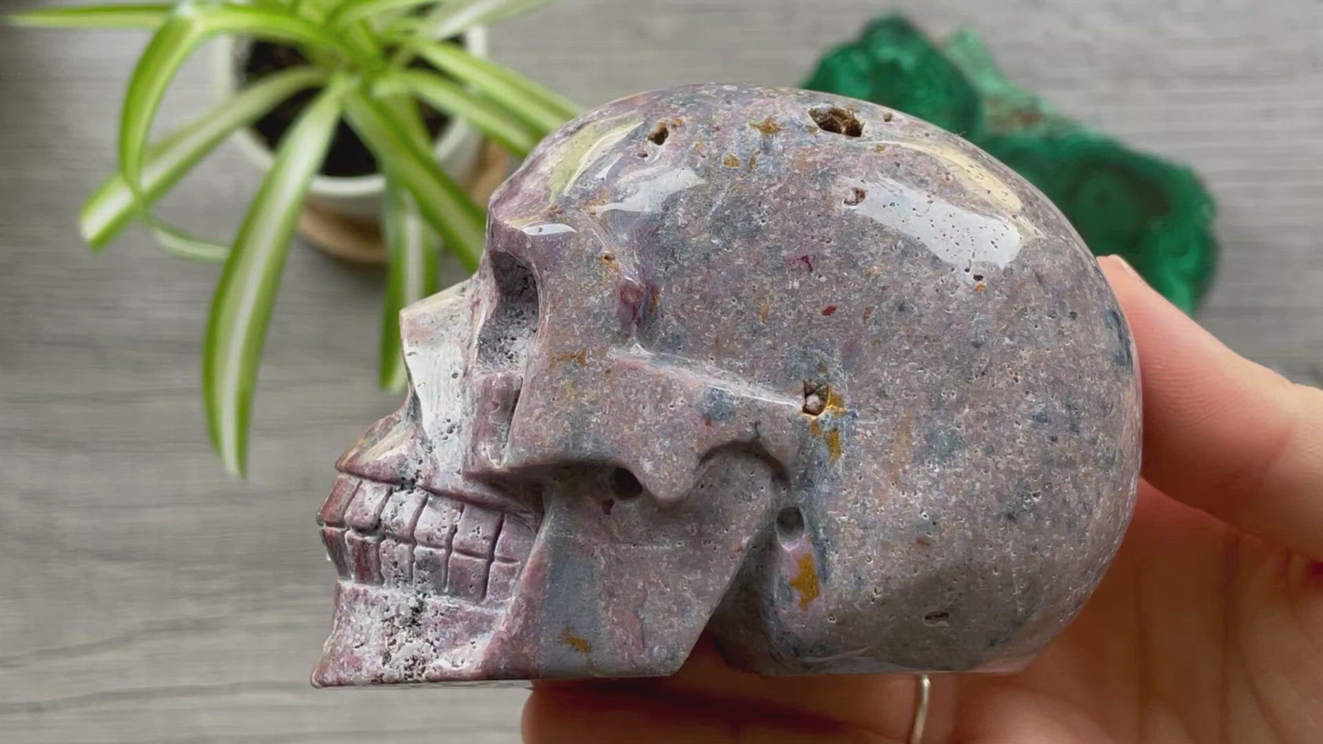 Ocean Jasper Crystal Skull .55kg - The Wandering Fox Emporium, Your Metaphysical Store video