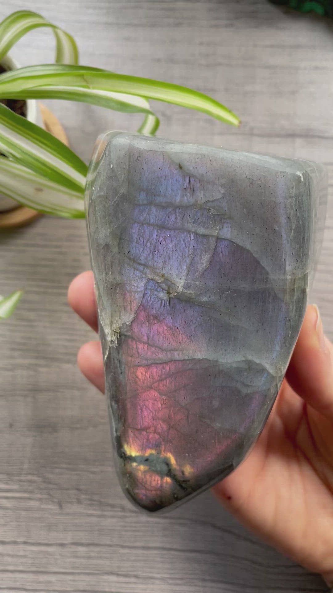 Pictured is a large labradorite freeform with a purple flash. Purple/Pink Flash Labradorite Freeform .65kg - The Wandering Fox Emporium, Your Crystal Store video