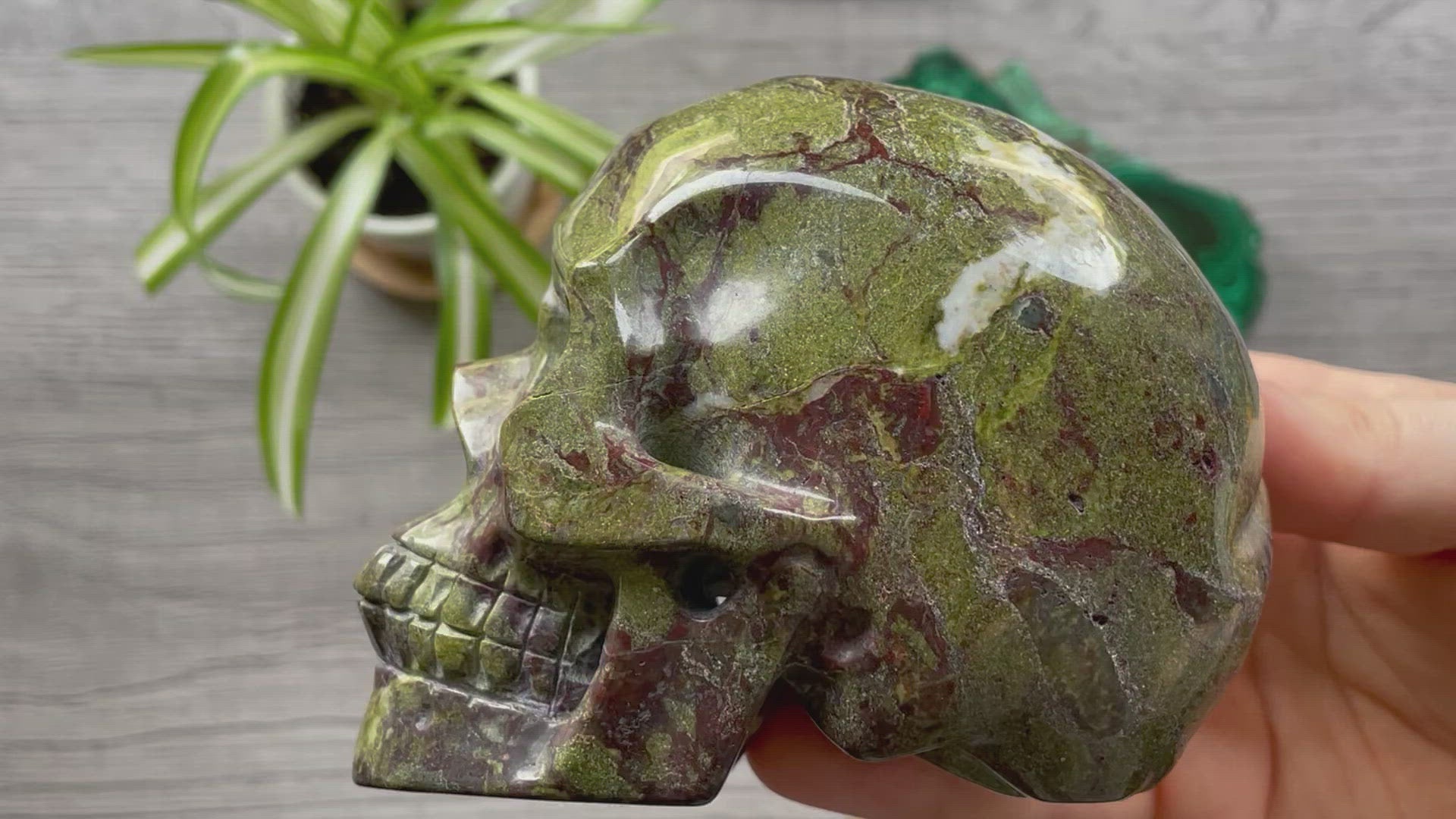 Dragon Bloodstone Crystal Skull .9kg - The Wandering Fox Emporium, Your Metaphysical Store video