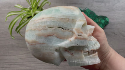 Pictured is a large skull carved out of Caribbean Calcite (blue calcite and white and brown aragonite). HUGE Caribbean Calcite Crystal Skull (2.35kg) - The Wandering Fox Emporium, Your Crystal Store video 2