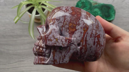 Pictured is a large skull carved out of ocean jasper or river jasper. Ocean Jasper Crystal Skull .95kg - The Wandering Fox Emporium, Your Metaphysical Store video