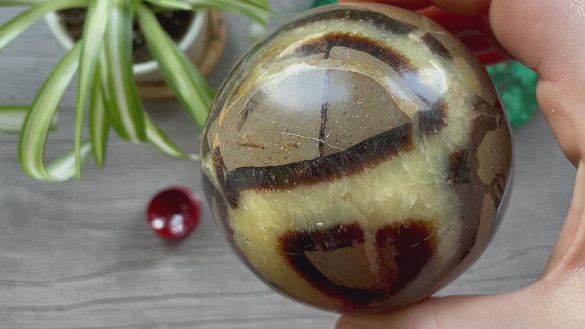 Septarian Sphere - 80mm - The Wandering Fox Emporium, Your Crystal Store video