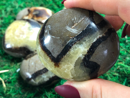 Septarian "Dragon Stone" Palm Stone