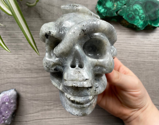 Labradorite Skull with Snakes 1kg - The Wandering Fox Emporium, Your Crystal Store front