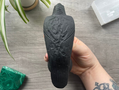 Pictured is a raven carved out of black obsidian.