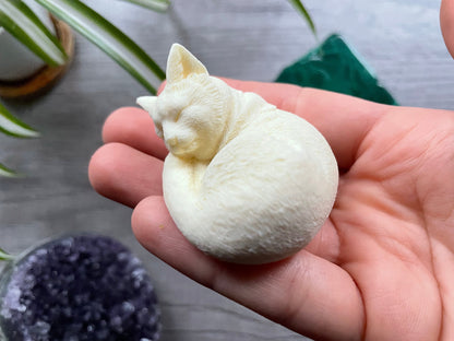 Tagua Nut Sleeping Cat Carving back