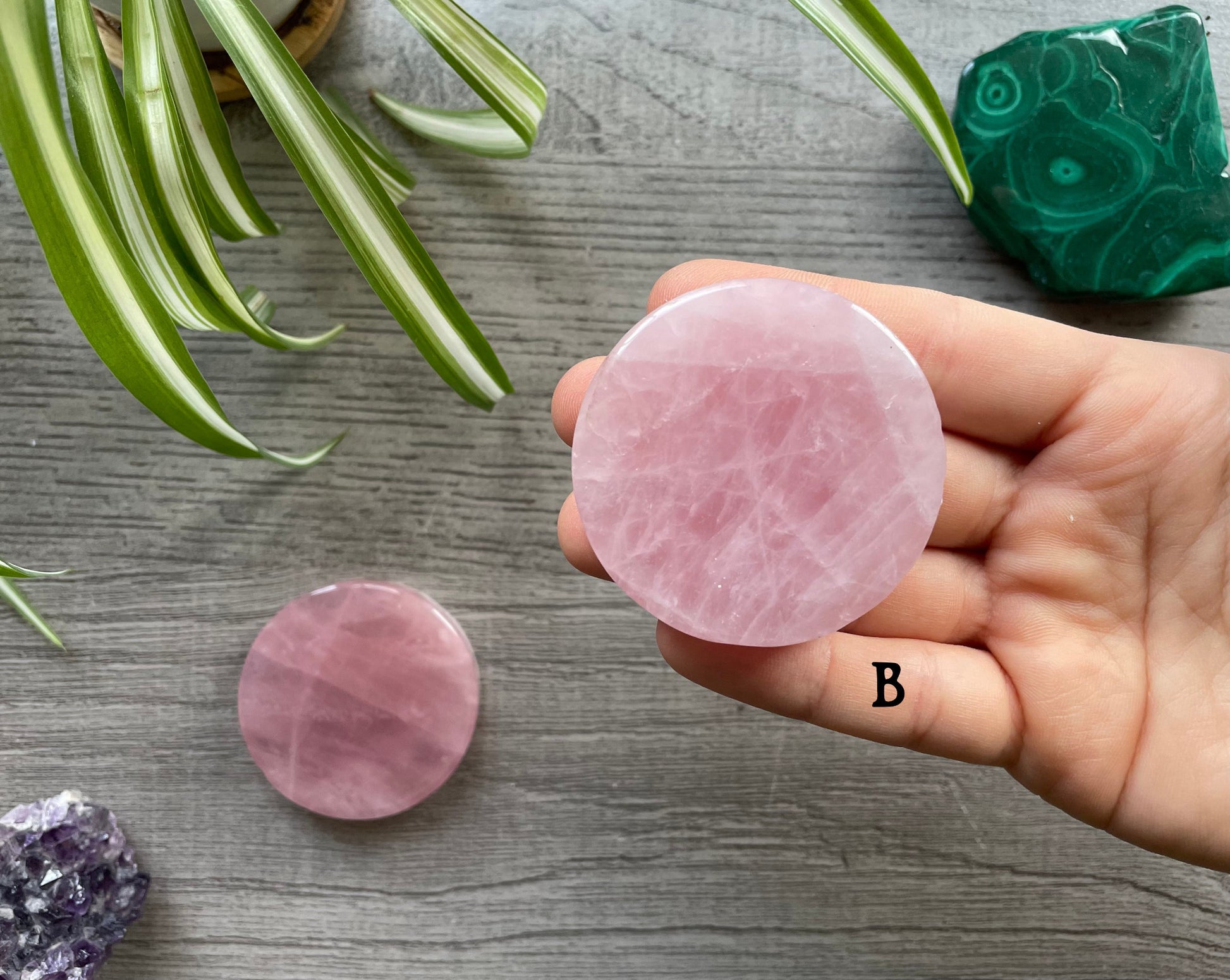 Rose Quartz Crystal Coin B Back