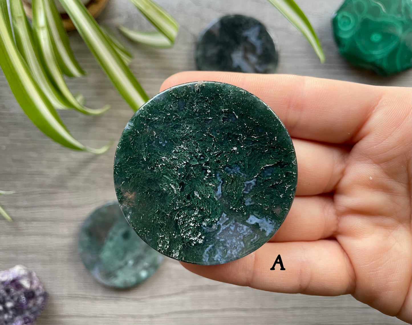 Moss Agate Crystal Coin A front