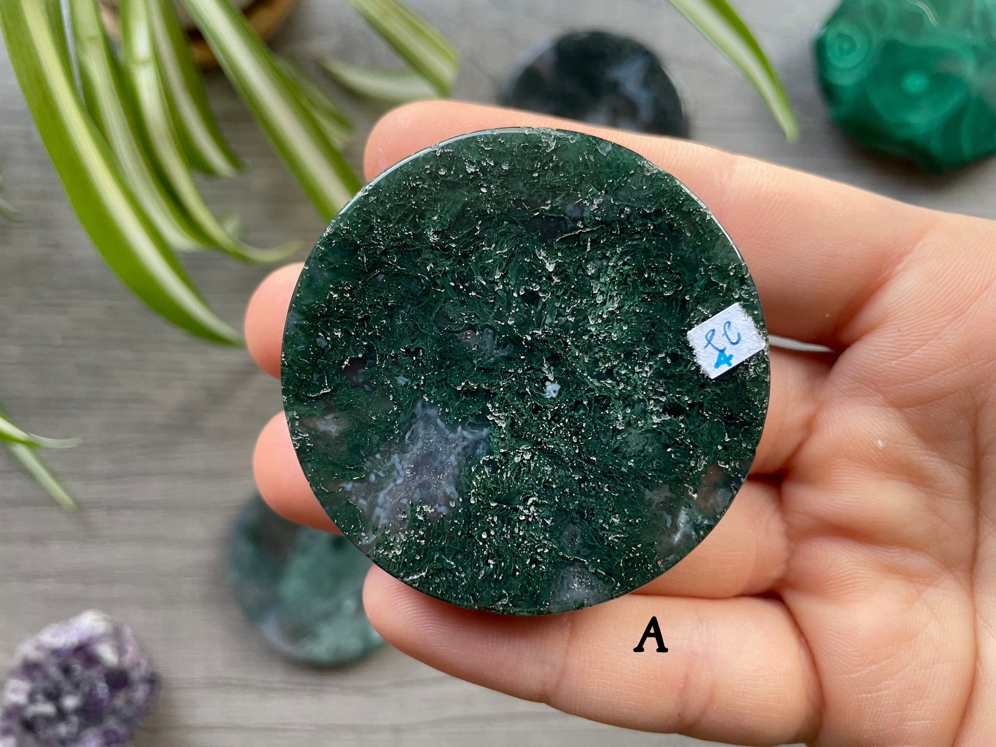 Moss Agate Crystal Coin A back