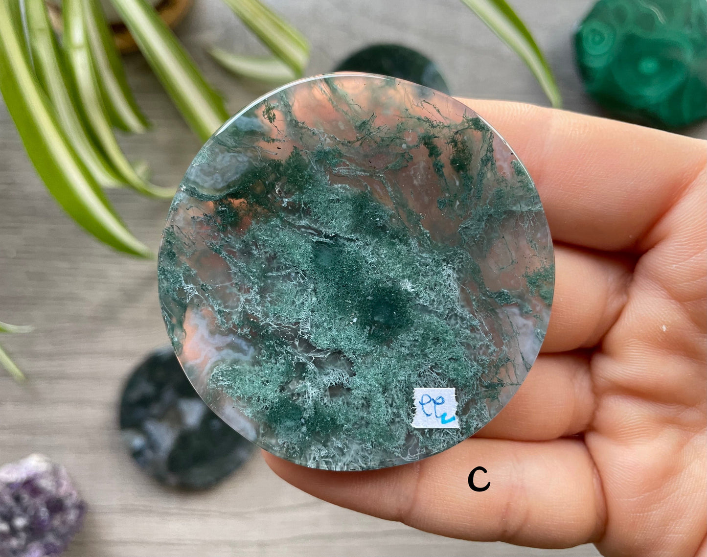 Moss Agate Crystal Coin C back