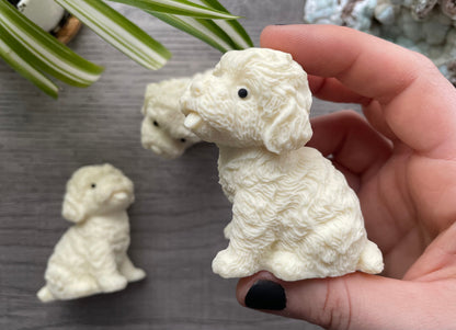 Tagua Nut Goldendoodle Dog Carving side