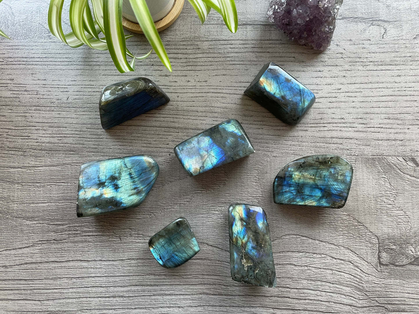 Mini Labradorite Crystal Freeforms