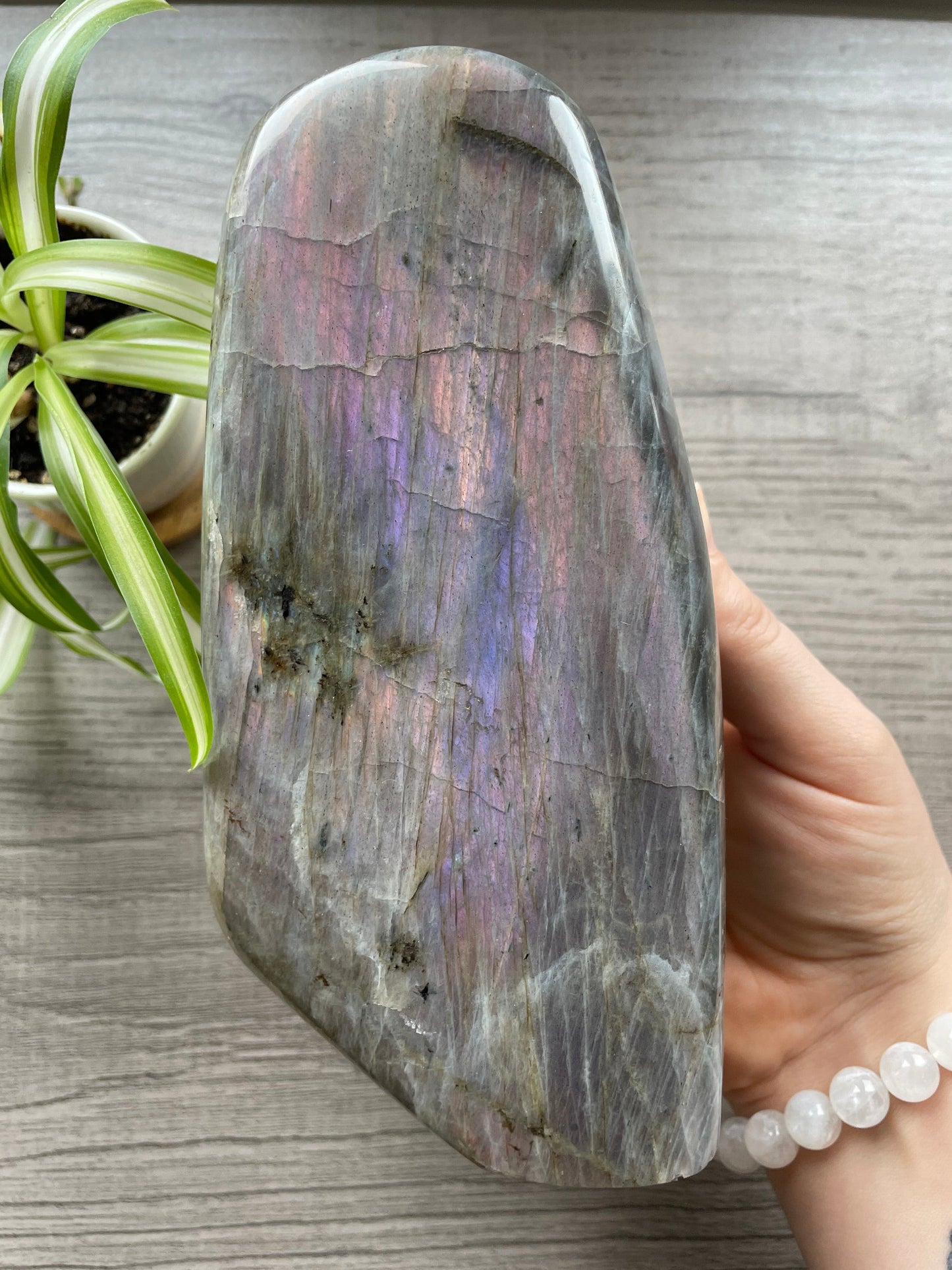 Pictured is a large polished labradorite freeform with a purple and pink flash.PINK & PURPLE FLASH Labradorite Freeform - 1.4kg - The Wandering Fox Emporium, Your Crystal Store front