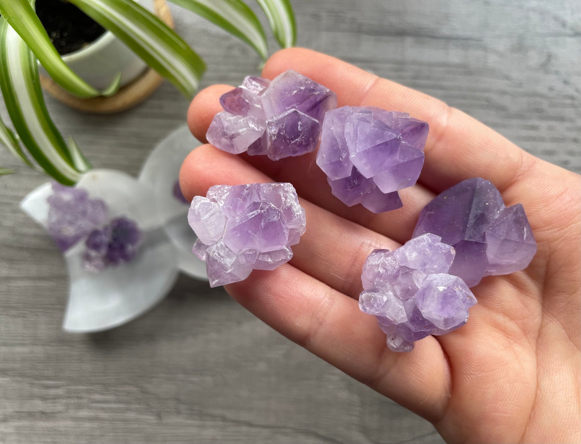 Raw Mini Amethyst Crystal Cluster